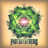 David Dewey - Downtemple @ Photosynthesis 2014 by David Dewey