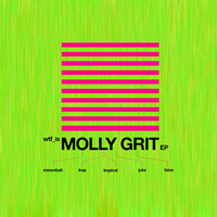 WTF IS MOLLY GRIT EP [FREE DL ON 25th]