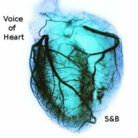 Voice of Heart by S&B