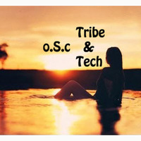 O.S.c Summer Tribe & Tech House by o.S.c Music
