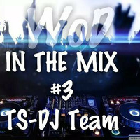 IN THE MIX #3 TopSound DJ Team by World of DJs