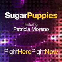 Right Here Right Now (featuring Patricia Moreno) by Sugar Puppies