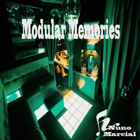 Modular Memories by Nuno Marcial