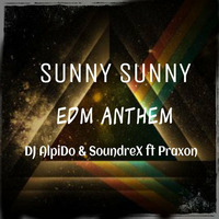 Sunny Sunny ( EDM Anthem) by Soundrex Live