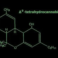 T?trahydrocannabinol by Stephane "bouddha" heaven