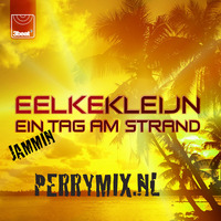 Eelke Kleijn vs Technotronic - Jammin Ein Tag Am Strand (Perrymix) by Perrymix