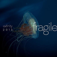d-phrag - Exfinity 2015 : Fragile by d-phrag