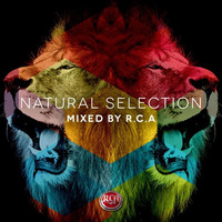 RCA - Natural Selection by RCA DnB