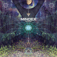 Mindex - We Represent The Power (Dark Passenger Remix) by Dark Passenger