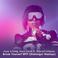 Hook N Sling, Missy Elliott Ft. Pharrell Williams - Break Yourself WTF (Stolzinger Mashup) by Stolzinger