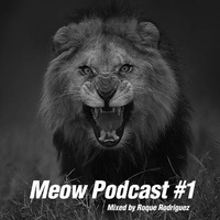 Roque Rodriguez - Meow Podcast #1 by Roque Rodriguez