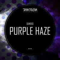Dawdio - Purple Haze (Original Mix)  OUT NOW! by Tantrem Recordings