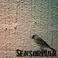 Sparrows on the roof by Sensorman