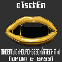 oTschEn - ORDENTLICH-DURCHGESCHÜTTELT-MIX (D&B) (2012) by oTschEn