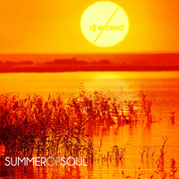DJ EXCEED - Summer Of Soul [2011] by Dj Exceed