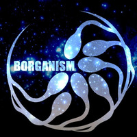 BORGANISM - NIGHT SKY(demo) by Borganism