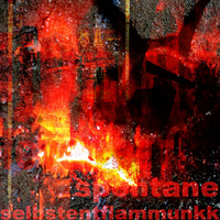 Dr Walker - Spontane Selbstentflammunk - Part  III (Djungle Fever) by liquid sky berlin