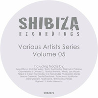 Groovetonic,Olivian Dj - Choices(Original mix)[Shibiza] by olivian