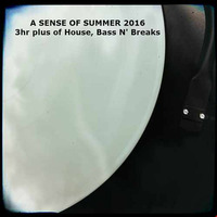 Beats Without Borders Presents A Sense Of Summer 2016 House Bass N Breaks Podcast by Beats Without Borders