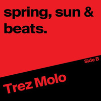 spring, sun &amp; beats Side B by Trez Molo