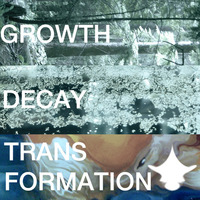 Growth Decay Transformation by Jam2go