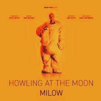 Milow - Howling At The Moon (Marcus Stabel Hinundweg Edit) by Marcus Stabel