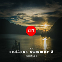 Endless Summer 2 - Tech House Mixtape by TKR by TKR Art // blackeightytwo
