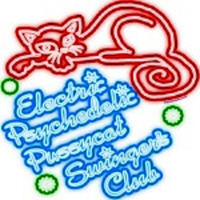 Live at The Electric Psychedelic Pussycat Swingers Club by Brownie