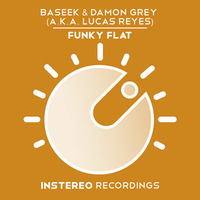 Baseek & Damon Grey  - Funky Flat by BASEEK