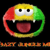 Crazy Jungle Mix by FreeNoiseX
