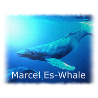 Marcel Es - Whale ((Freedownload)) by Marcel Es