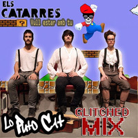 Els catarres - Vull estar amb tu (Lo Puto Cat Glitched Mix) by Lo Puto Cat
