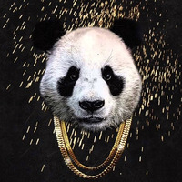 Panda (Paris Mix) - Dj Daze by Dj Daze Remixes