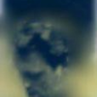 &Oslash;ystein J&oslash;rgensen 