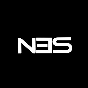 N3S Records