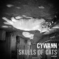 cywann - Skulls Of Cats by cywann