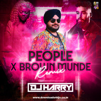 People Vs Brown Munde - DJ Harry India by D4D India