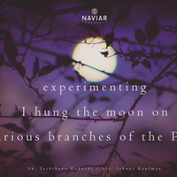 Scott Lawlor - Pine Branches in the Moonlight (Naviarhaiku 391) by Naviar