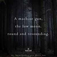 Scott Lawlor - Low Moon (Naviarhaiku 418) by Naviar