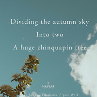 Sam Slattery - Dividing the autumn sky (naviarhaiku489) by Naviar