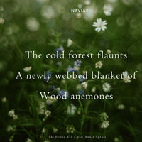 Sam Slattery - The Cold forest newly webbed (naviarhaiku490) by Naviar