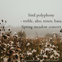 Sam Slattery - Spring meadow bird concert (naviarhaiku 495) by Naviar