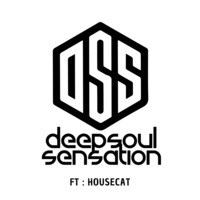 DSSLive Ep 13 Housecat by Deep Soul Sensation
