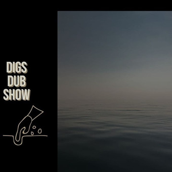 Digs Dub!