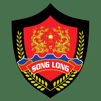 congtybaovesonglong