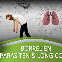 Borrelien, Parasiten &amp; Long Covid - Dr. med Armin Schwarzbach by NuoFlix