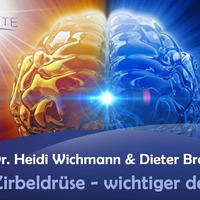Die Zirbeldrüse - wichtiger denn je! - Dr. Heidi Wichmann &amp; Dieter Broers by NuoFlix