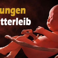  ThetaHealing® und Prägungen im Mutterleib - Christian Franconieri by NuoFlix