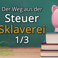 Der Weg aus der Steuer-Sklaverei - Christoph Heuermann 1/3 by NuoFlix
