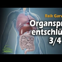 Die Organsprache unserer Biologie entschlüsselt (Teil 3_4) Raik Garve by NuoFlix